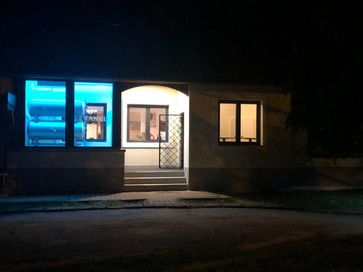 Penzion&Pizzerie U Massima Вишков Экстерьер фото